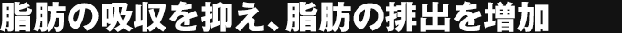 脂肪の吸収を抑え、排出を増加させる理由