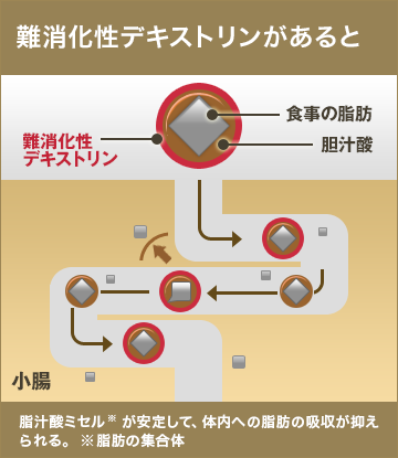 難消化性デキストリンがあると。胆汁酸ミセルが安定して、体内への脂肪の吸収が抑えられる