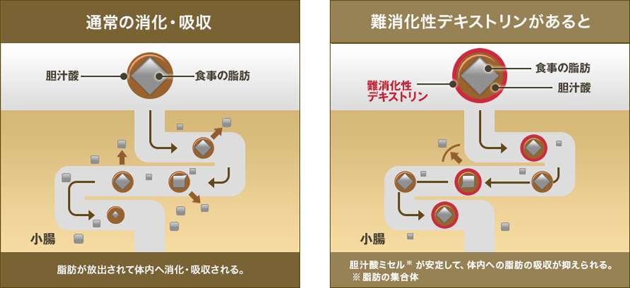 通常の消化・吸収 脂肪が放出されて体内へ消化・吸収される。難消化性デキストリンがあると 脂汁酸ミセル* が安定して、体内への脂肪の吸収が抑えられる。※脂肪の集合体